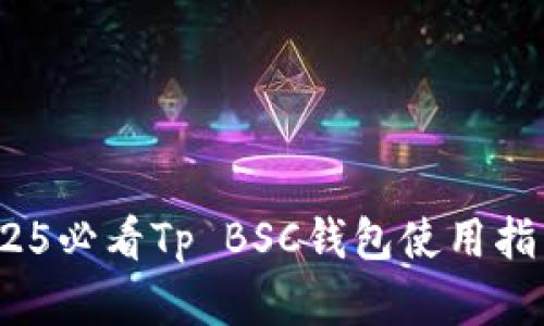 立即了解！2025必看Tp BSC钱包使用指南与安全策略