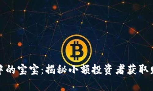 数字货币中的宝宝：揭秘小额投资者获取财富的秘密