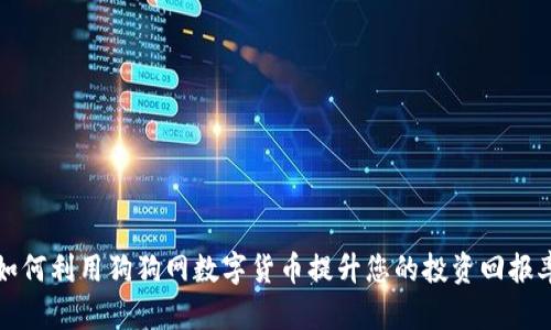 如何利用狗狗网数字货币提升您的投资回报率