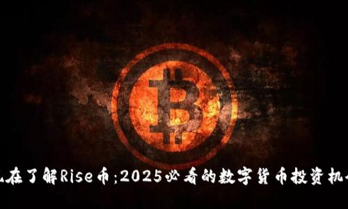 现在了解Rise币：2025必看的数字货币投资机会
