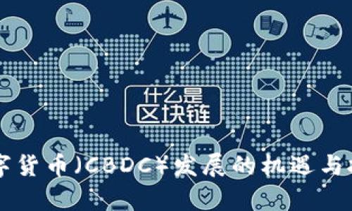 中央数字货币（CBDC）发展的机遇与挑战分析