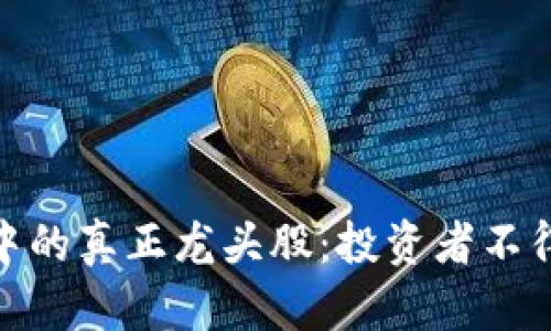 数字货币市场中的真正龙头股：投资者不得不关注的机会
