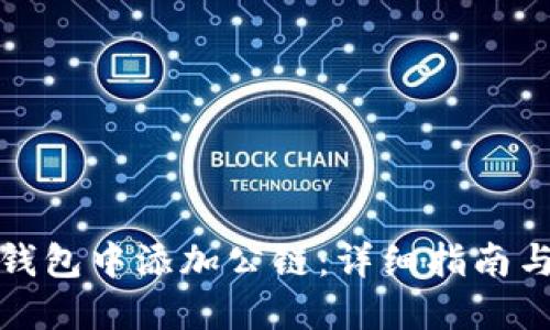 如何在TP钱包中添加公链：详细指南与用户价值