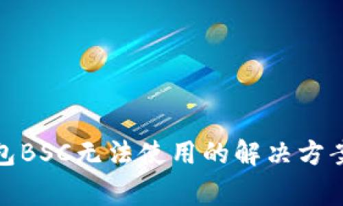 2025必看：TP钱包BSC无法使用的解决方案与常见问题解析