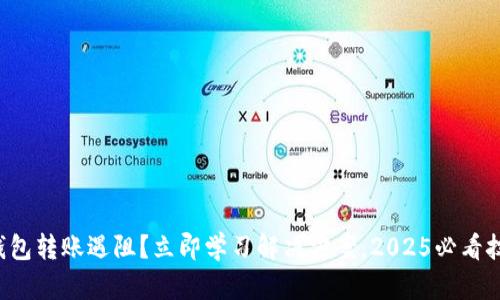 TP钱包转账遇阻？立即学习解决方案，2025必看技巧！