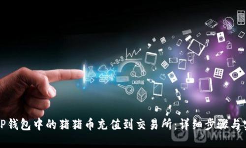 如何将TP钱包中的猪猪币充值到交易所：详细步骤与实用技巧