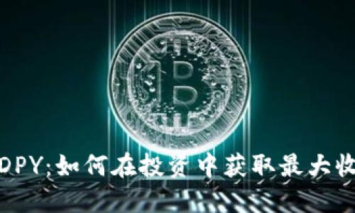 数字货币DPY：如何在投资中获取最大收益与价值
