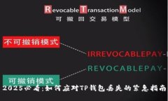 2025必看：如何应对TP钱包丢失的紧急指南