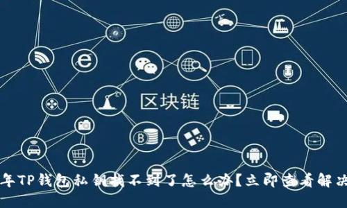 2023年TP钱包私钥找不到了怎么办？立即查看解决方案！