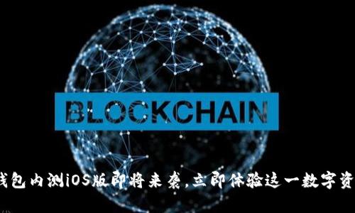 2025必看：TP钱包内测iOS版即将来袭，立即体验这一数字资产管理新风潮！