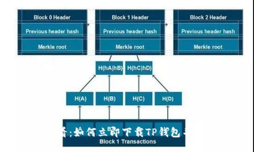 2025必看：如何立即下载TP钱包并安全使用