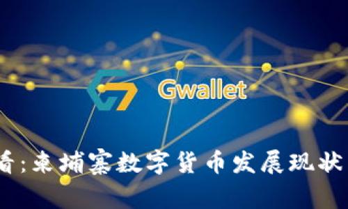 : 2025必看：柬埔寨数字货币发展现状与未来趋势