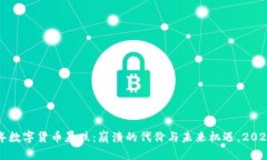 2017年数字货币暴跌：崩溃的代价与未来机遇，