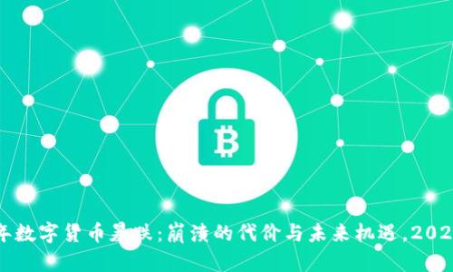 2017年数字货币暴跌：崩溃的代价与未来机遇，2025必看！