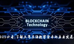 : 2025必看：了解土耳其语数字货币的未来发展脉