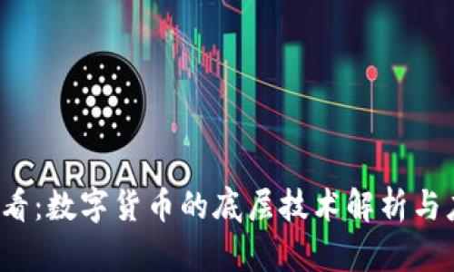 2025必看：数字货币的底层技术解析与应用展望