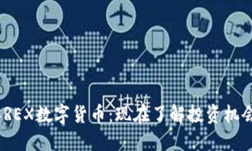 2020年REX数字货币：现在了解投资机会与风险