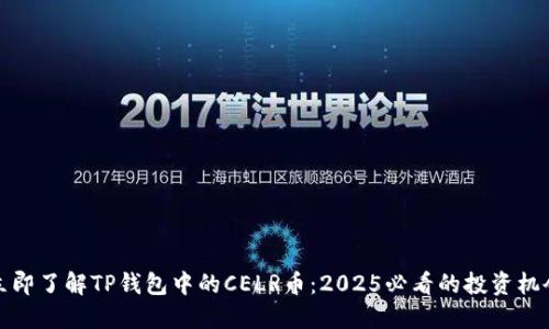 立即了解TP钱包中的CELR币：2025必看的投资机会