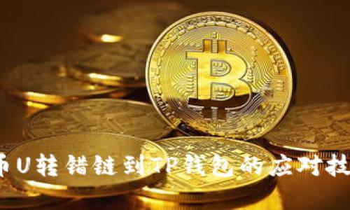 立即解决！货币U转错链到TP钱包的应对技巧与救赎方法