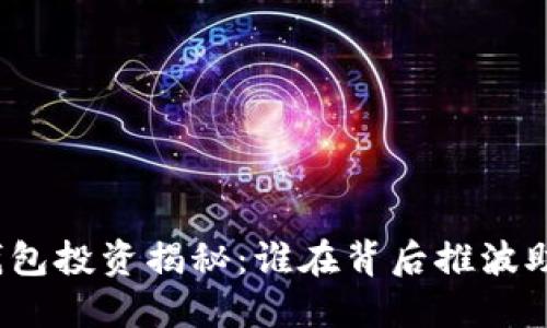 TP钱包投资揭秘：谁在背后推波助澜？