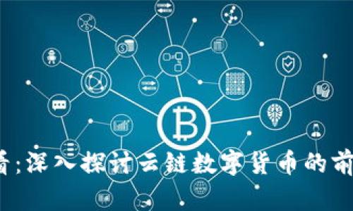 2025必看：深入探讨云链数字货币的前景与发展