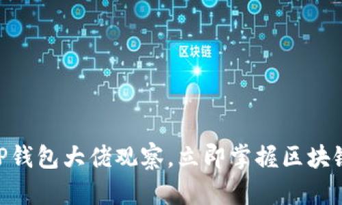 2025必看：TP钱包大佬观察，立即掌握区块链财富新机遇