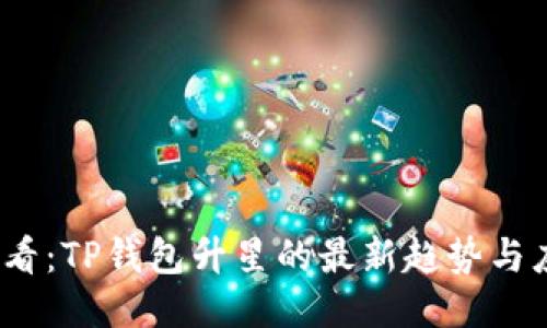2025必看：TP钱包升星的最新趋势与应用价值