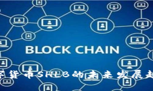 2025必看：数字货币SHLB的未来发展趋势与投资机会