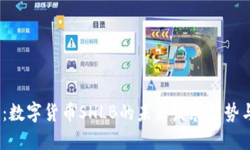 2025必看：数字货币SHLB的未来发展趋势与投资机会