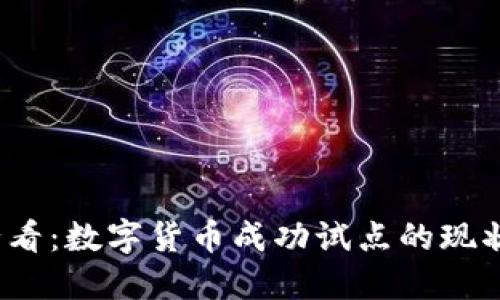 2025必看：数字货币成功试点的现状与未来
