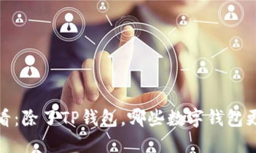 2025必看：除了TP钱包，哪些数字钱包更加安全？