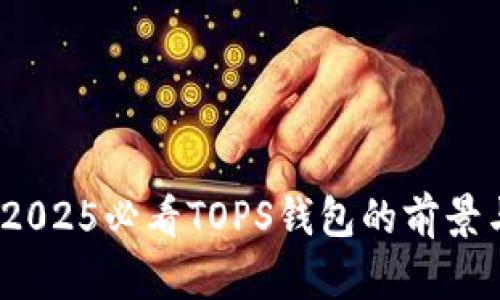 立即探索：2025必看TOPS钱包的前景与使用心得
