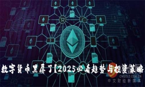 数字货币黑屏了？2025必看趋势与投资策略