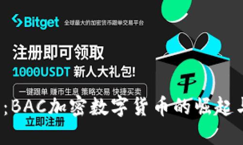 2025必看：BAC加密数字货币的崛起与未来展望