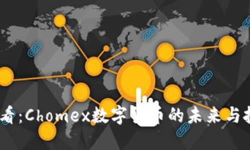 2025必看：Chomex数字货币的未来与投资机会