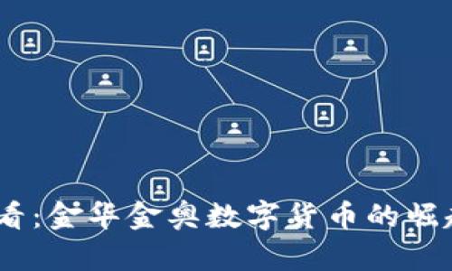2025必看：金华金奥数字货币的崛起与机遇