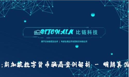 2025必看：新加坡数字货币骗局案例解析 - 明辨真伪，投资先知