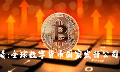 2025必看：全球数字货币国家发行公司全景解析