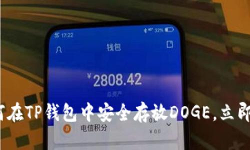 2025必看：如何在TP钱包中安全存放DOGE，立即获取实用指南！