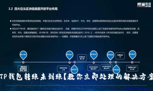 TP钱包转账未到账？教你立即处理的解决方案