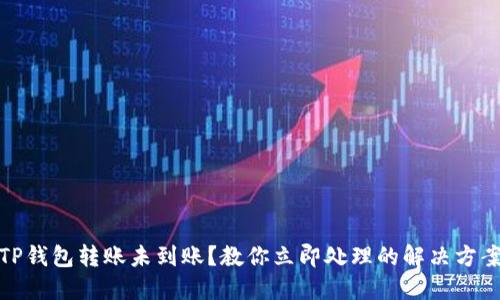 TP钱包转账未到账？教你立即处理的解决方案