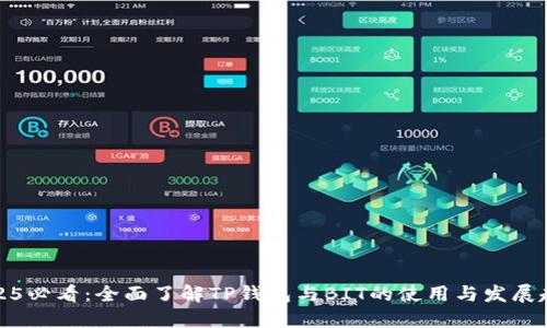 2025必看：全面了解TP钱包与BIT的使用与发展趋势