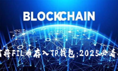如何将FIL币存入TP钱包：2025必看指南