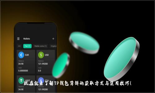 现在就来了解TP钱包薄饼的获取方式与使用技巧！
