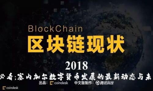 2025必看：塞内加尔数字货币发展的最新动态与未来潜力