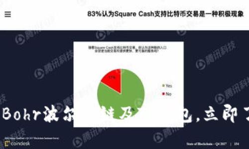 2025必看：全面解析Bohr波尔公链及TP钱包，立即了解未来区块链生态！