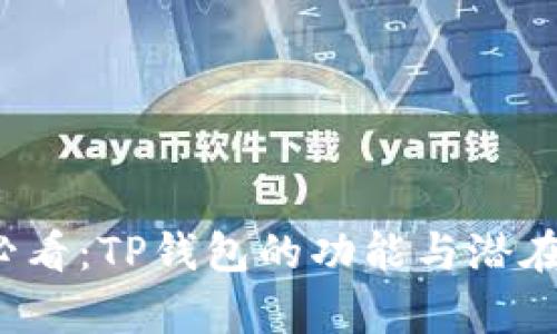 2025年必看：TP钱包的功能与潜在问题解析