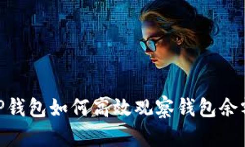 2025必看！TP钱包如何高效观察钱包余额与交易历史