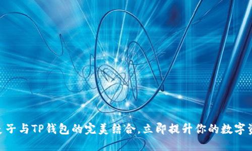 2025必看：麦子与TP钱包的完美结合，立即提升你的数字资产管理体验