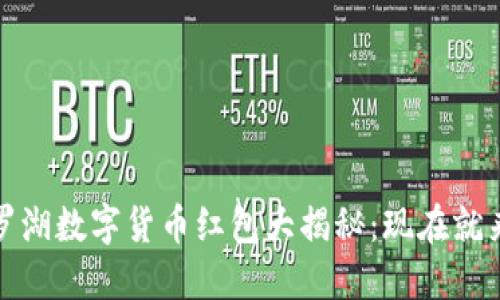 : 2023年深圳罗湖数字货币红包大揭秘：现在就来领取你的福利！